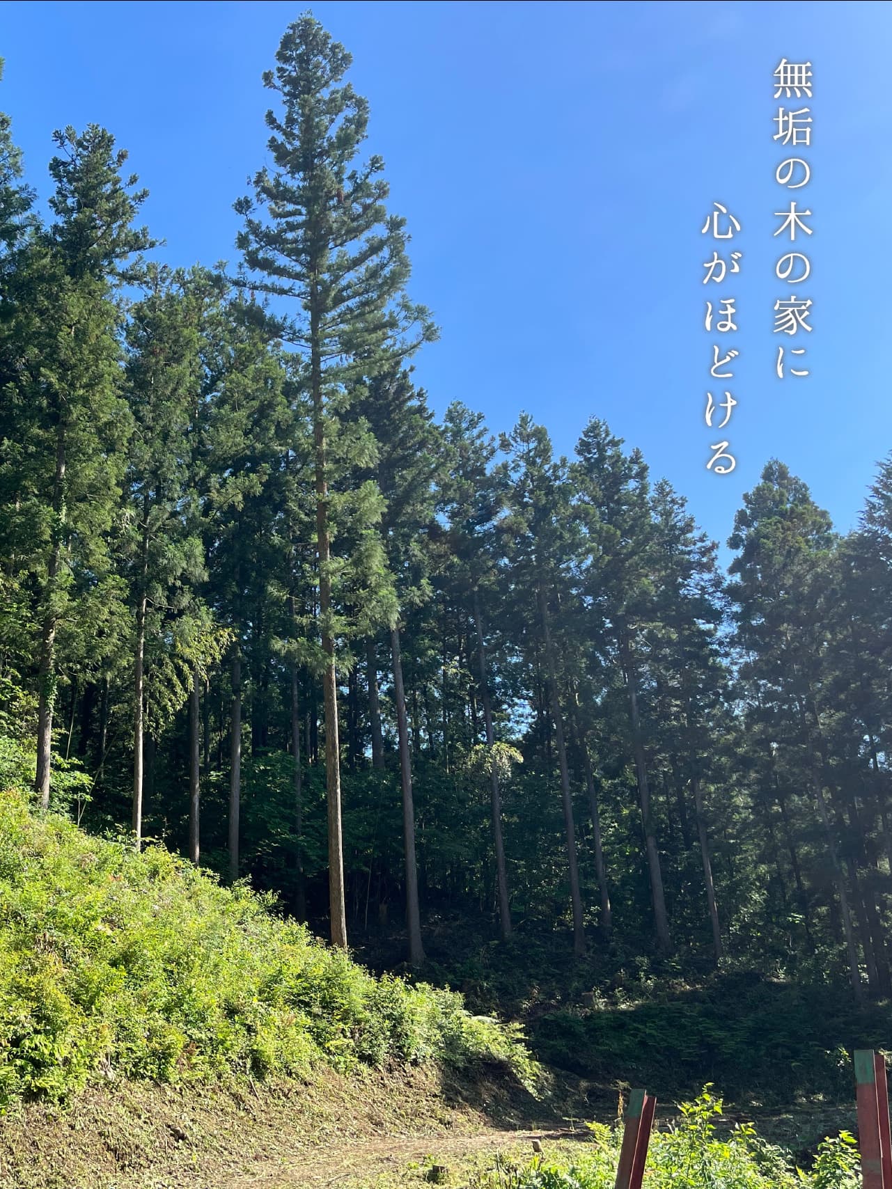 コンセプト
