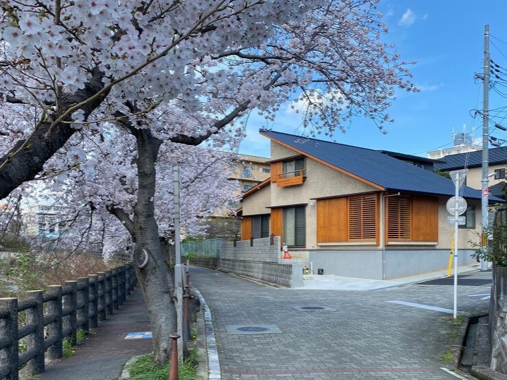 LWの窓から桜を楽しむ　豊中市の平屋
