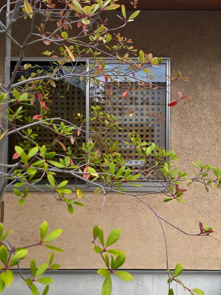 そとん壁、植栽、木製建具、重心の低い建物設計で、とても落ち着いた佇まい