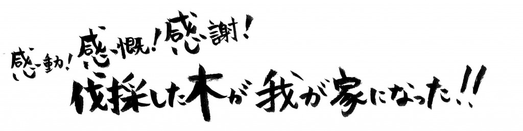 感動！感慨！感謝！伐採した木が我が家になった！