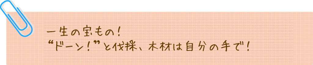 一生の宝もの！  “ドーン！”と伐採、木材は自分の手で！