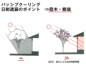 パッシブクーリング　庭木・植栽